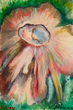 Dormancy